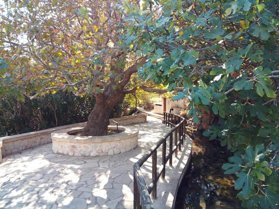 Alkioni Sea View Apartment Káto Zákros Dış mekan fotoğraf