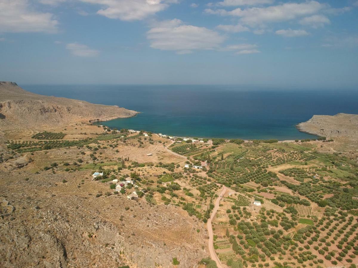 Alkioni Sea View Apartment Káto Zákros Dış mekan fotoğraf