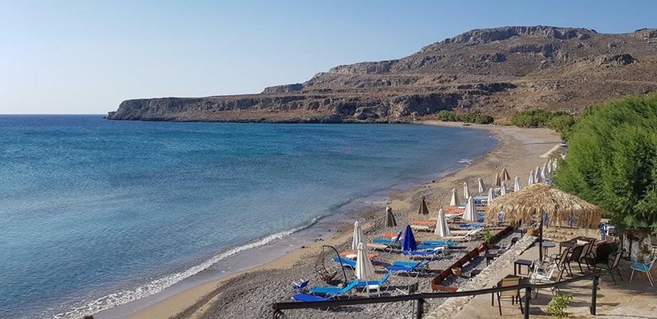 Alkioni Sea View Apartment Káto Zákros Dış mekan fotoğraf